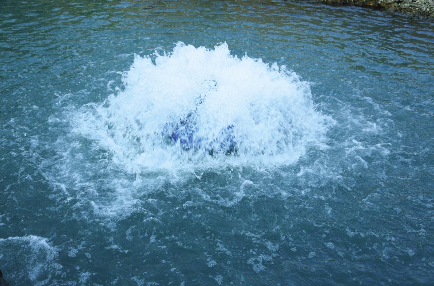 涌浪機在南美白對蝦養(yǎng)殖中增氧作用的研究